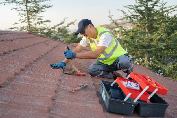Best Roof Maintenance Services  in Stirling, NJ